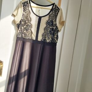 Black and Gold Lace Detail Cocktail Dress